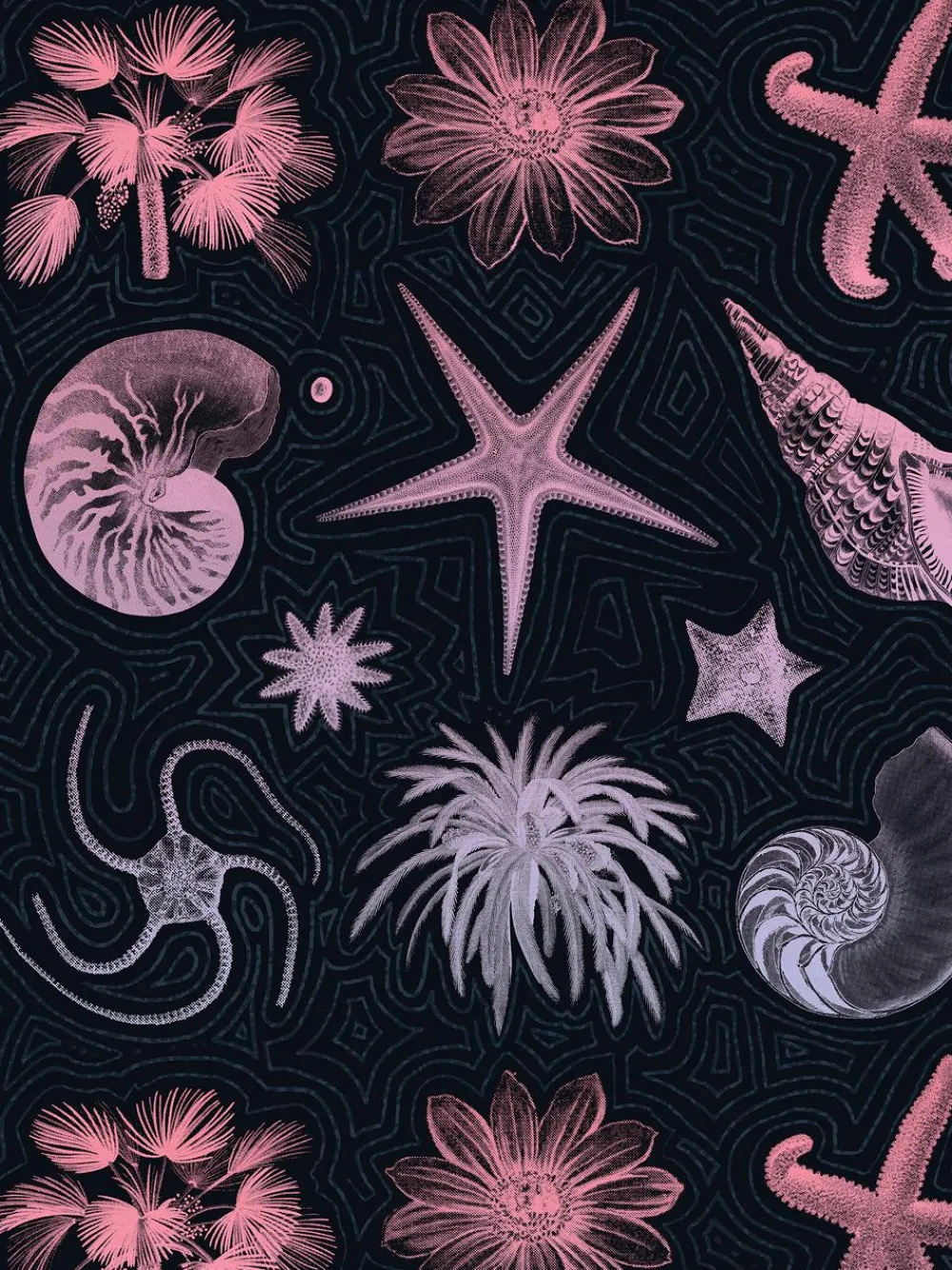 Heren 8-pack Boxershorts-Muchachomalo Outlet