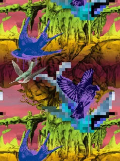 Heren 7-pack Boxershorts-Muchachomalo Clearance