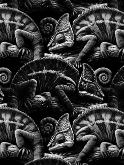 Heren 12-pack Boxershorts-Muchachomalo Best