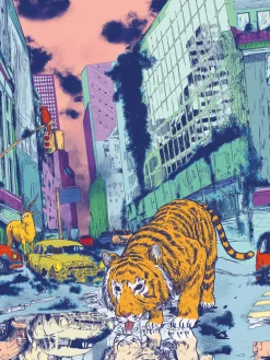 Heren 10-pack Light Cotton-Muchachomalo New