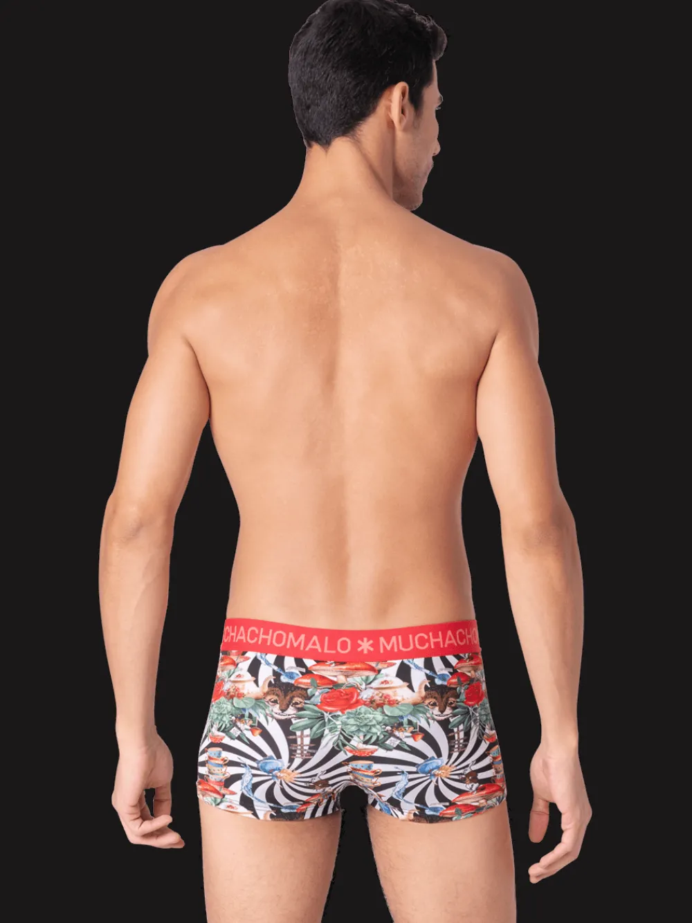 Heren 2-pack Trunks Jackbean Alicewonder-Muchachomalo Best